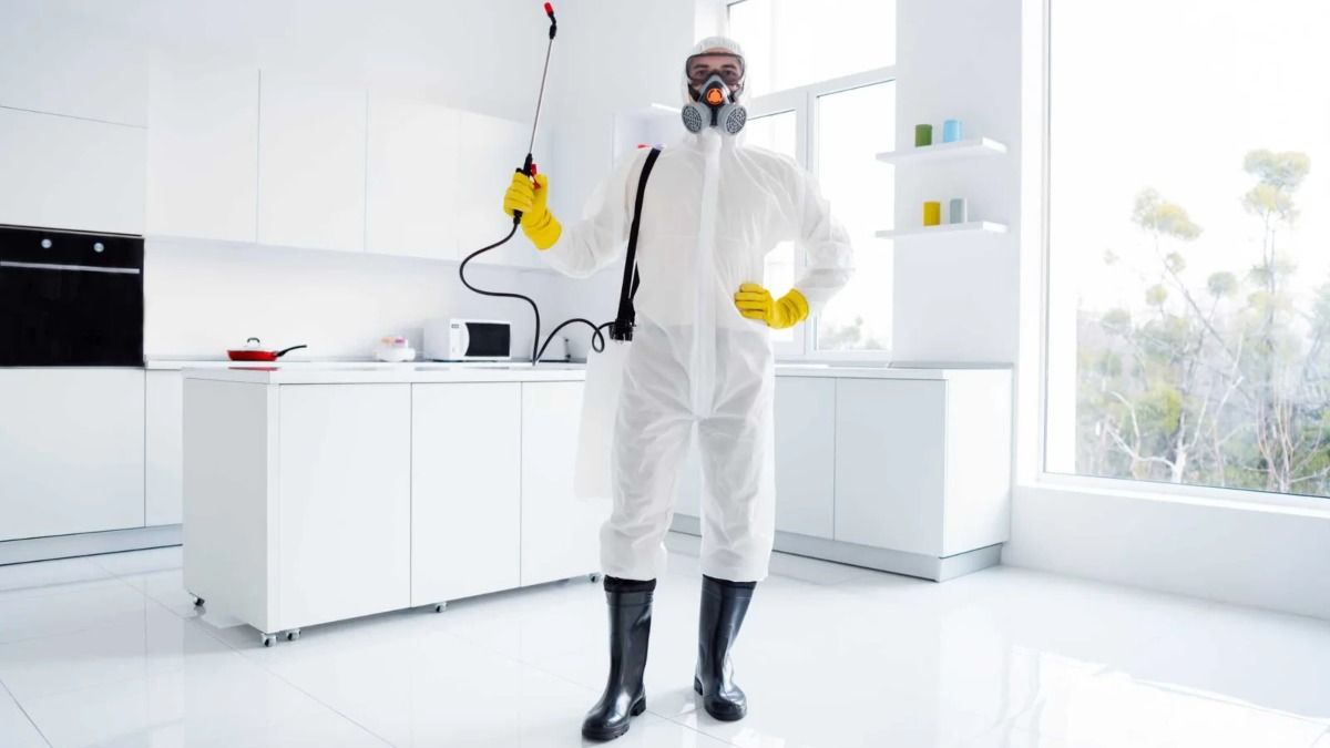 Απεντόμωση για Airbnb