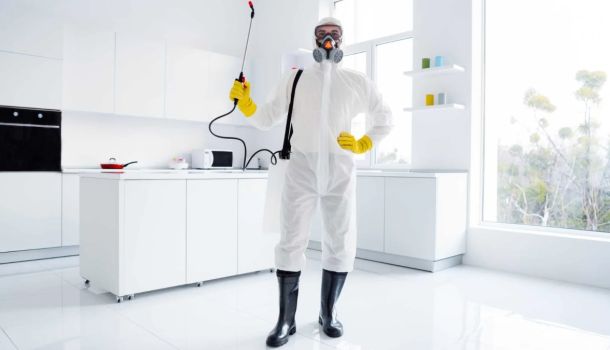 Απεντόμωση για Airbnb